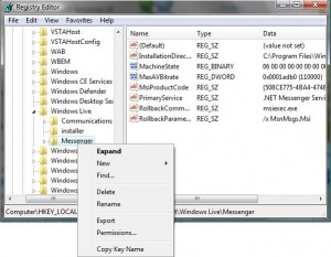 Registry Multi MSN Messenger Guide