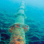 Undersea Optic Fibre Cable