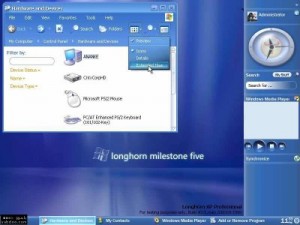 Windows Longhorn was a codename for the next upcoming version of Microsoft Windows after the Windows XP. It was released in the year 2005 but people hesitated to shift to it and sticked to Windows XP because Windows XP is still considered to be as the most stable version of Microsoft Windows.